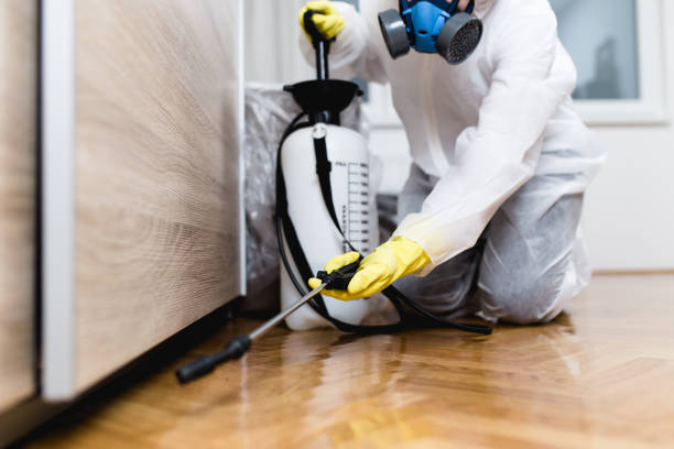 Best Flea Control Services  in Woodburn, VA
