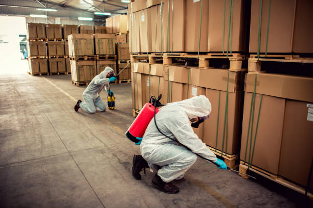 Best Bed Bug Extermination  in Woodburn, VA
