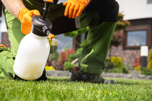 Best Ant Control Services  in Woodburn, VA