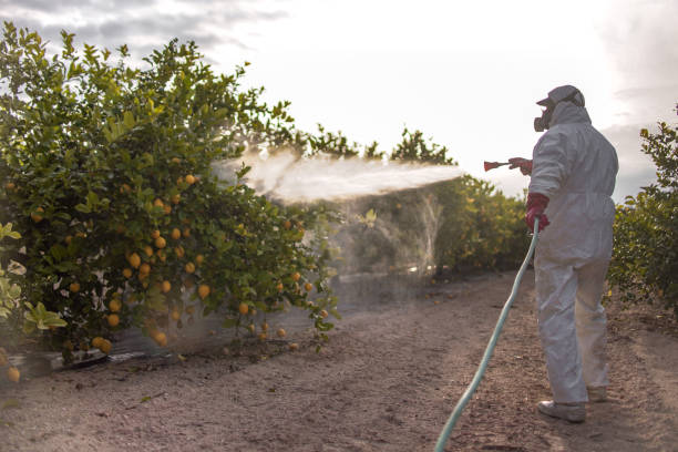Best Wildlife Control Services  in Woodburn, VA