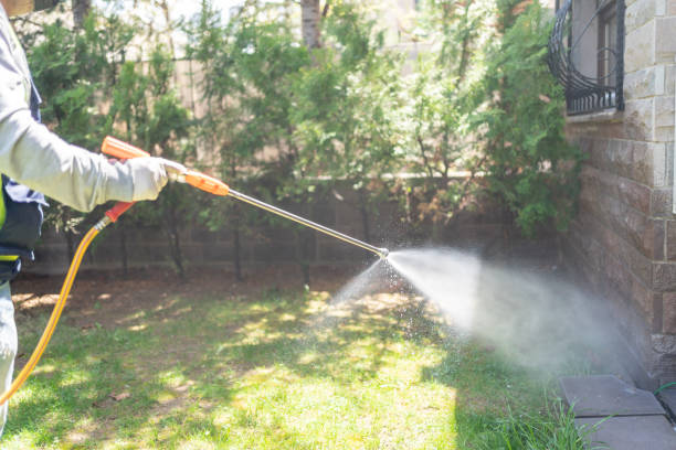 Best Cockroach Control Services  in Woodburn, VA