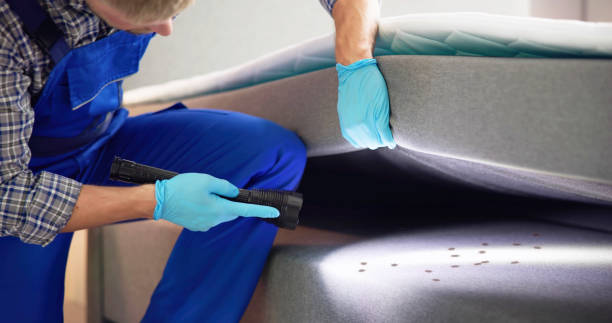 Best Residential Pest Control  in Woodburn, VA