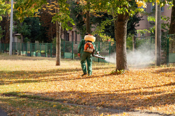Best Emergency Pest Control  in Woodburn, VA