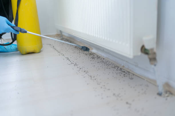 Best Exterminator Services  in Woodburn, VA