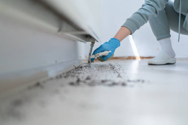 Best Local Pest Control Services  in Woodburn, VA