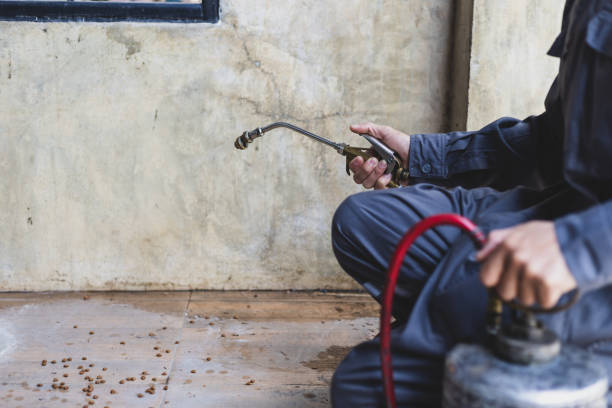 Best Emergency Pest Control  in Woodburn, VA